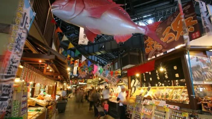 和歌山の黒潮市場でマグロショーと昔の町を楽しもう