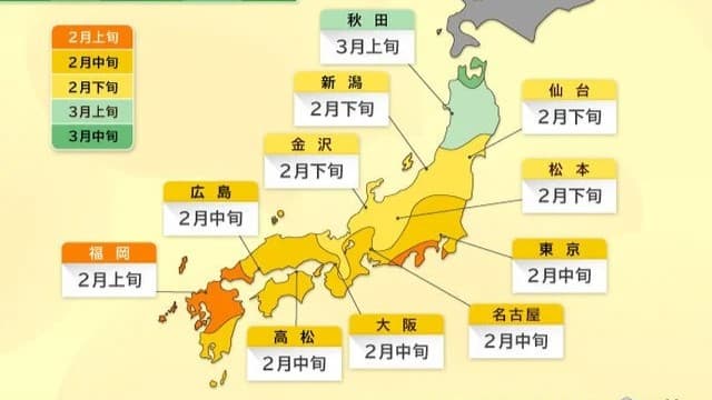 2026年の花粉シーズンが早く始まります