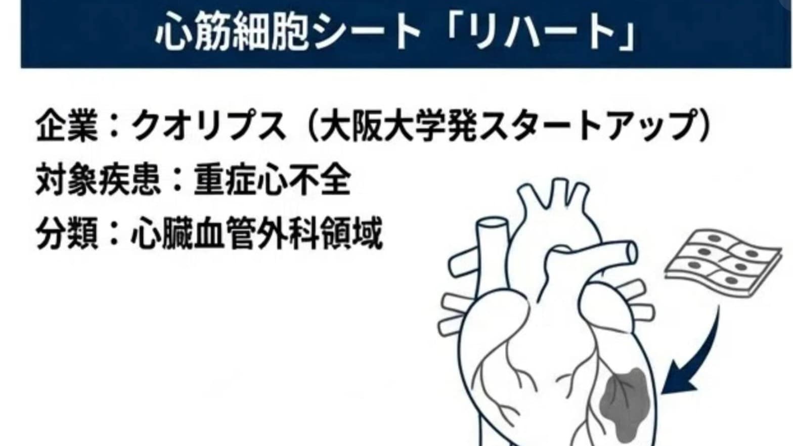 日本、iPS細胞を使った新しい治療を正式に認める