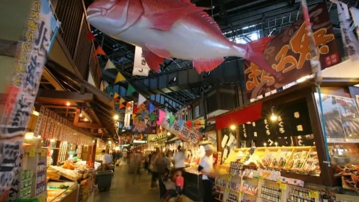 和歌山の黒潮市場でマグロショーと昔の町を楽しもう