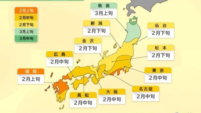 2026年の花粉シーズンが早く始まります